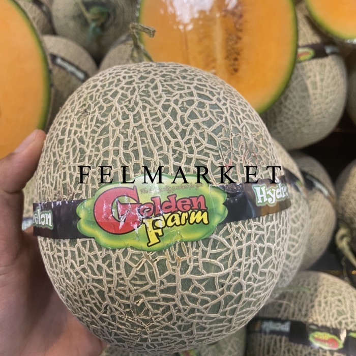 

Melon Hydroponic Orange Platinum Manis / Buah Melon Orange / Pcs