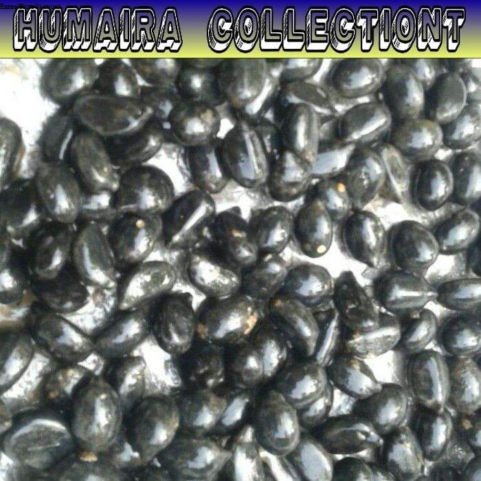 

Biji Buah Pohon Areng Super 1 Kg