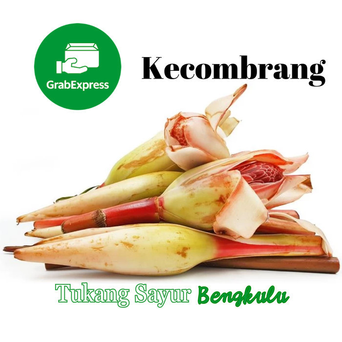 

Kecombrang fresh satuan Grab instan Tukang Sayur Bengkulu