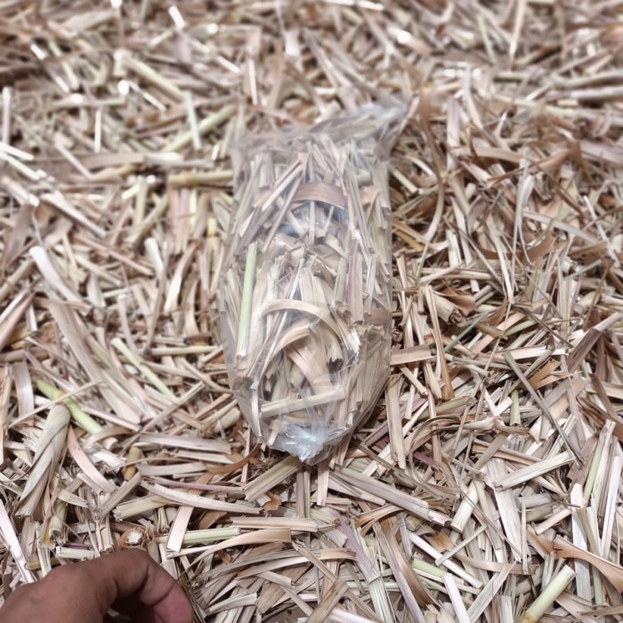 batang serai lanang / serai wangi kering / sereh wangi kering