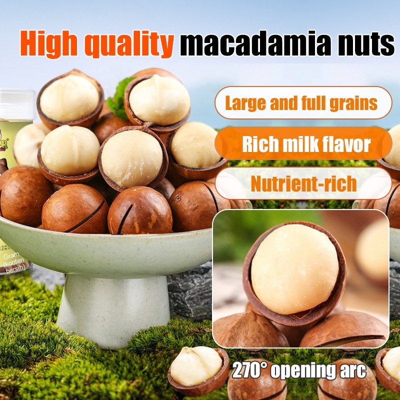 

✅Obral terlaris✨Kacang Macadamia Berbiji Besar Dengan Rasa Susu/Selebriti internet Makanan kedelai Koleksi musiman Kacang macadamia/Makanan Ringan Buah Kering