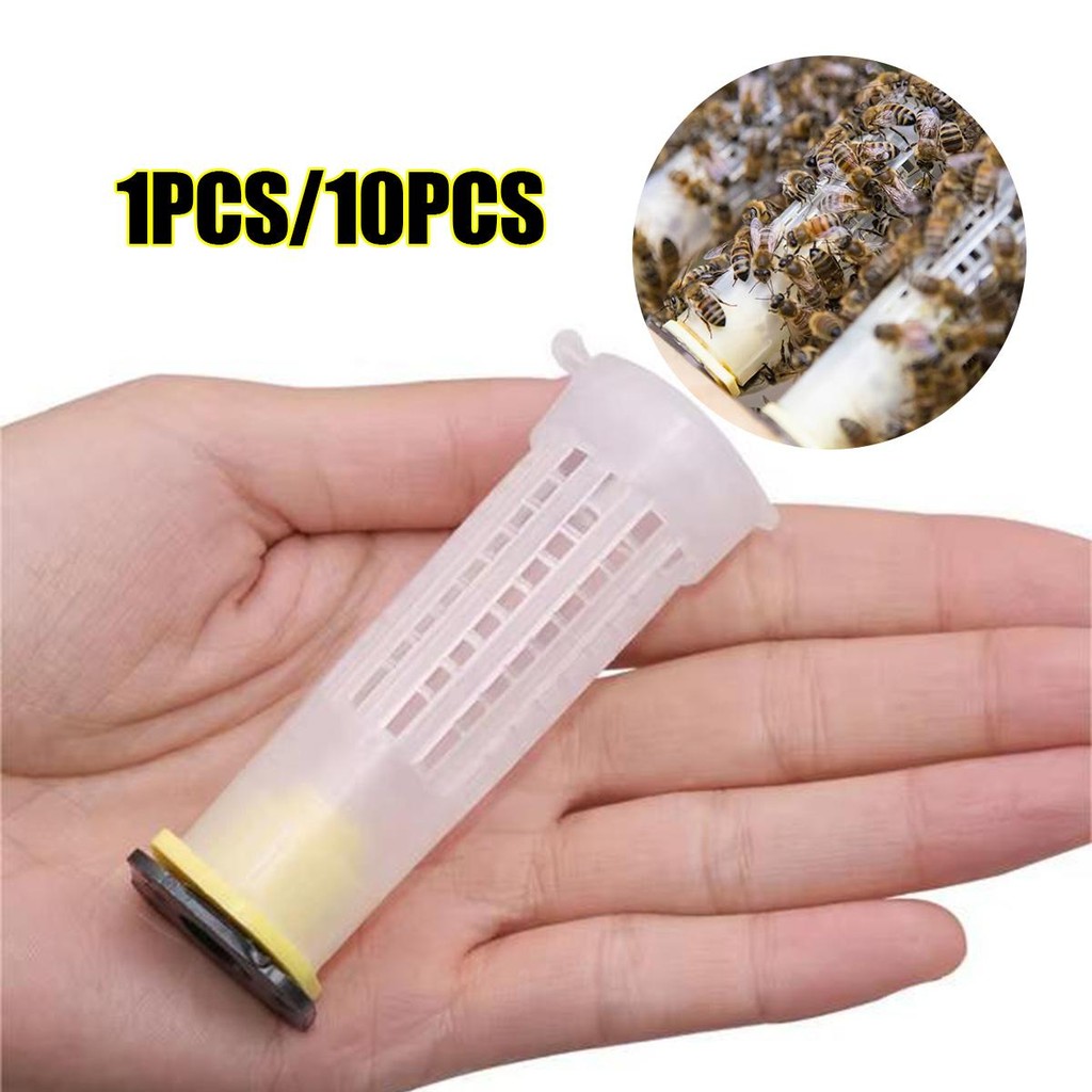 

10PCS Kurungan Ratu Lebah Tabung Larva Lebah Untuk Budidaya Lebah Madu Bulat Model Tabung Beekeeping