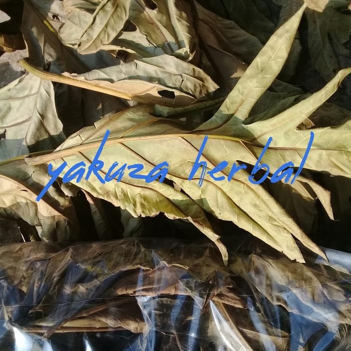 

Ready Daun sukun kering 500 grm