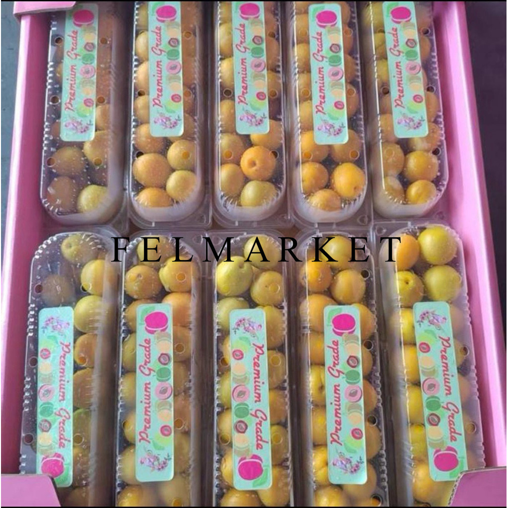 

Buah Apricot Import Fresh / Buah Aprikot Fresh / 600 gr