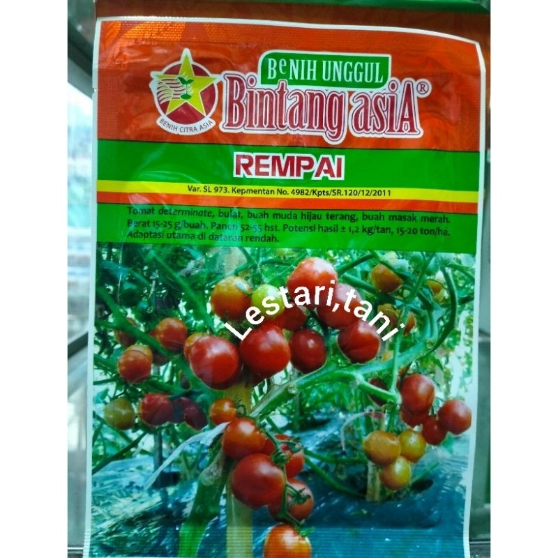 

benih tomat REMPAI 10 gr
