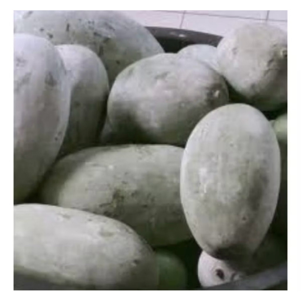 

COD BUAH BLIGO / BUAH KUNDUR / WINTER MELON 1 - 1,5 KG