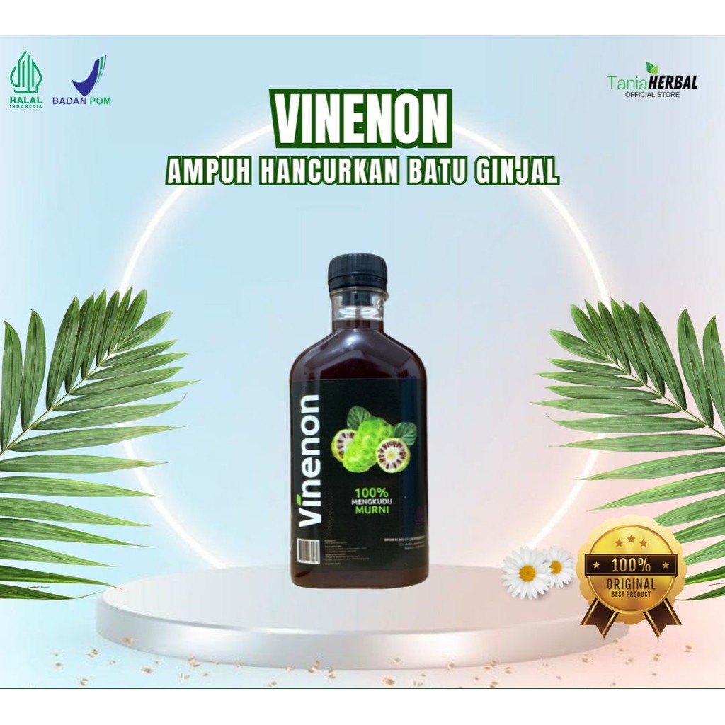 

Vinenon Cuka Mengkudu Hancurkan Batu Ginjal Pelancar Purin Dalam Tubuh Obat Asam Urat BPOM Halal