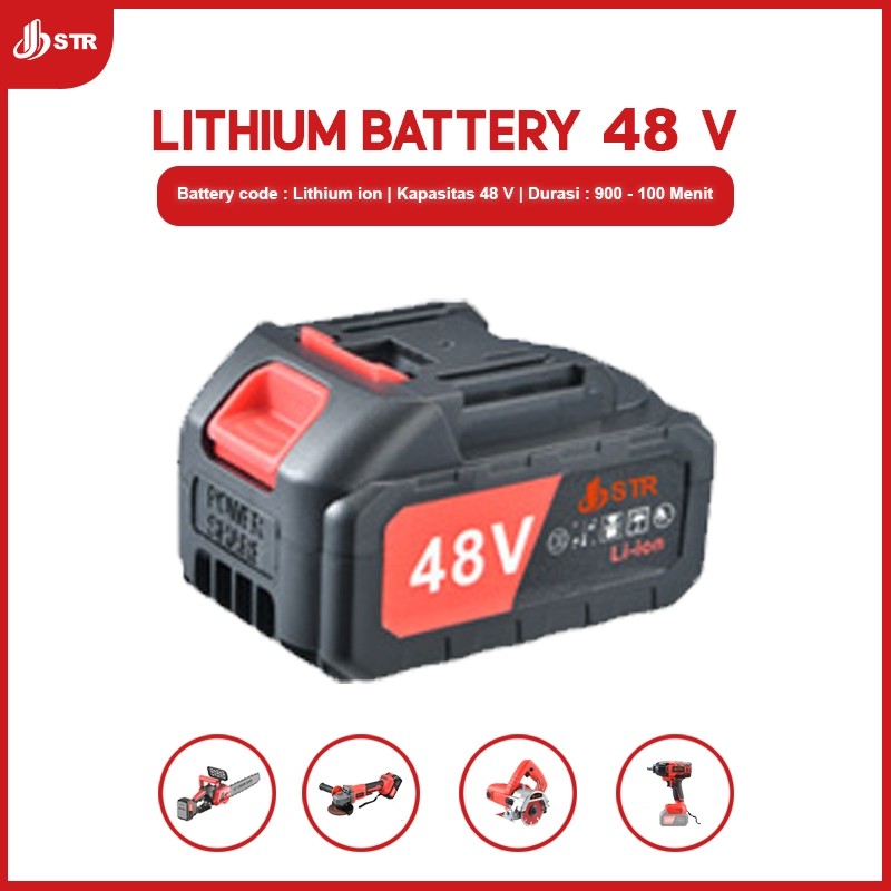 FAREVOR STR LITHIUM BATTERY 48V