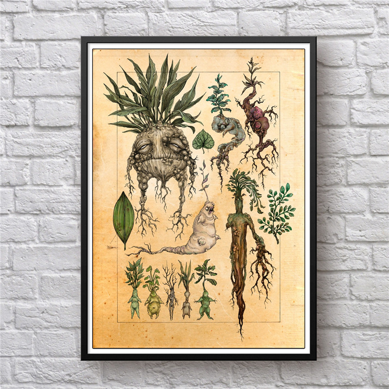 

Art Illustration Mandrake Decor Canvas Painting Wall Picture , Cute Mandrake Plant Poster Print Kids Room Decor
