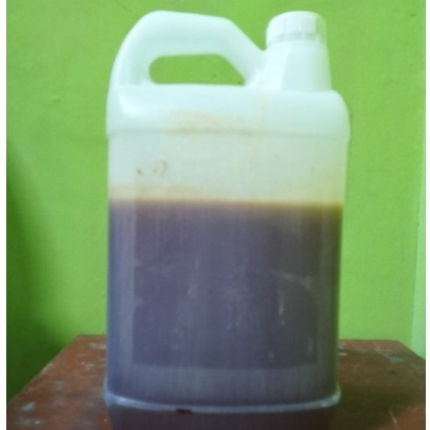 

Grosir Madu Sialang Dorsata Liar 5kg 100% murni asli alami