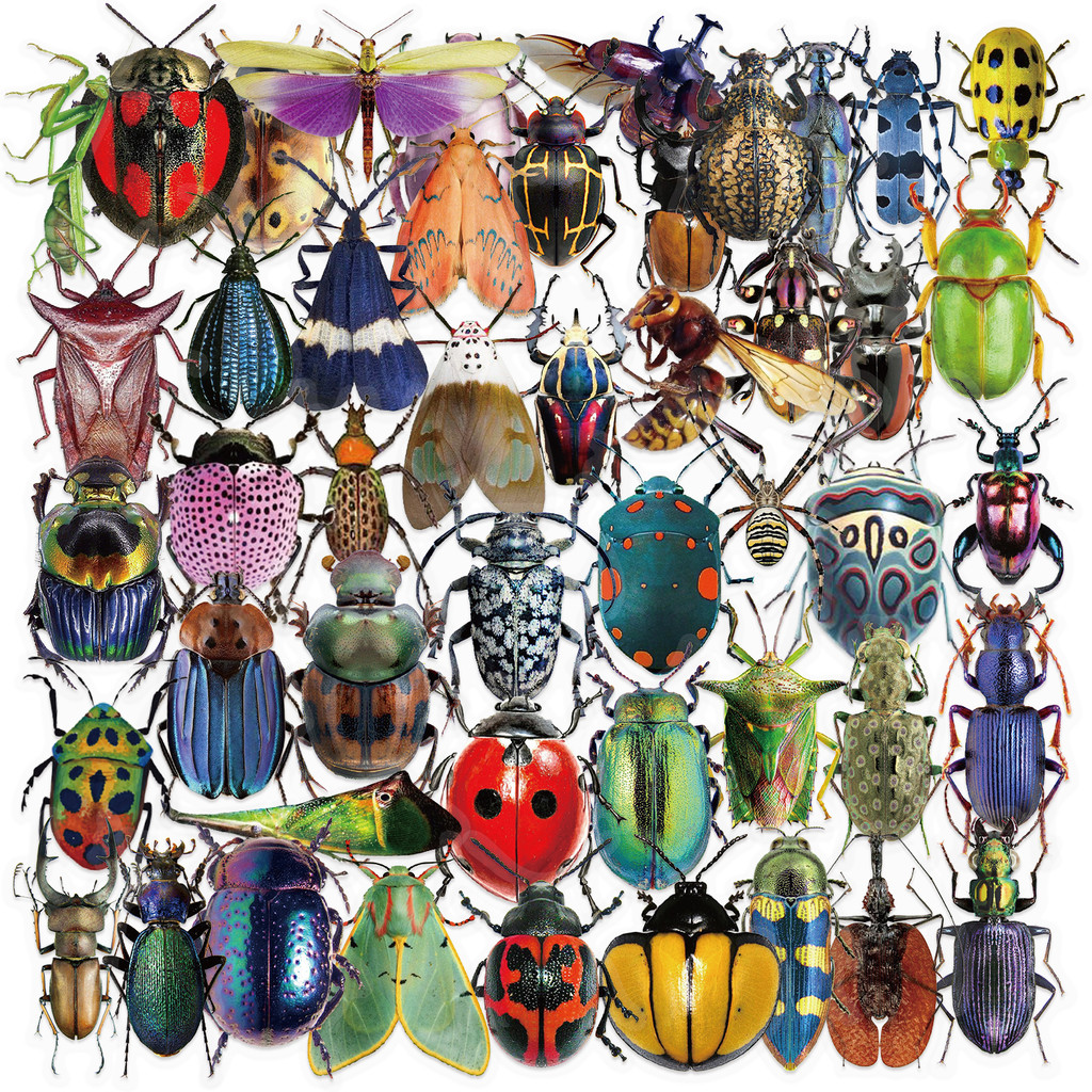 

50pcs Cartoon Cute Cartoon Insect Beetle Stickers PET for Toy DIY Luggage Laptop Guitar Skateboard Phone Case Bike Car Sticker