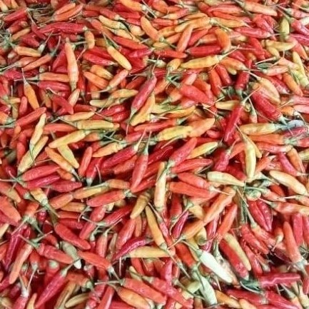 

PROMO Cabai Rawit Merah Fresh (Cengek)