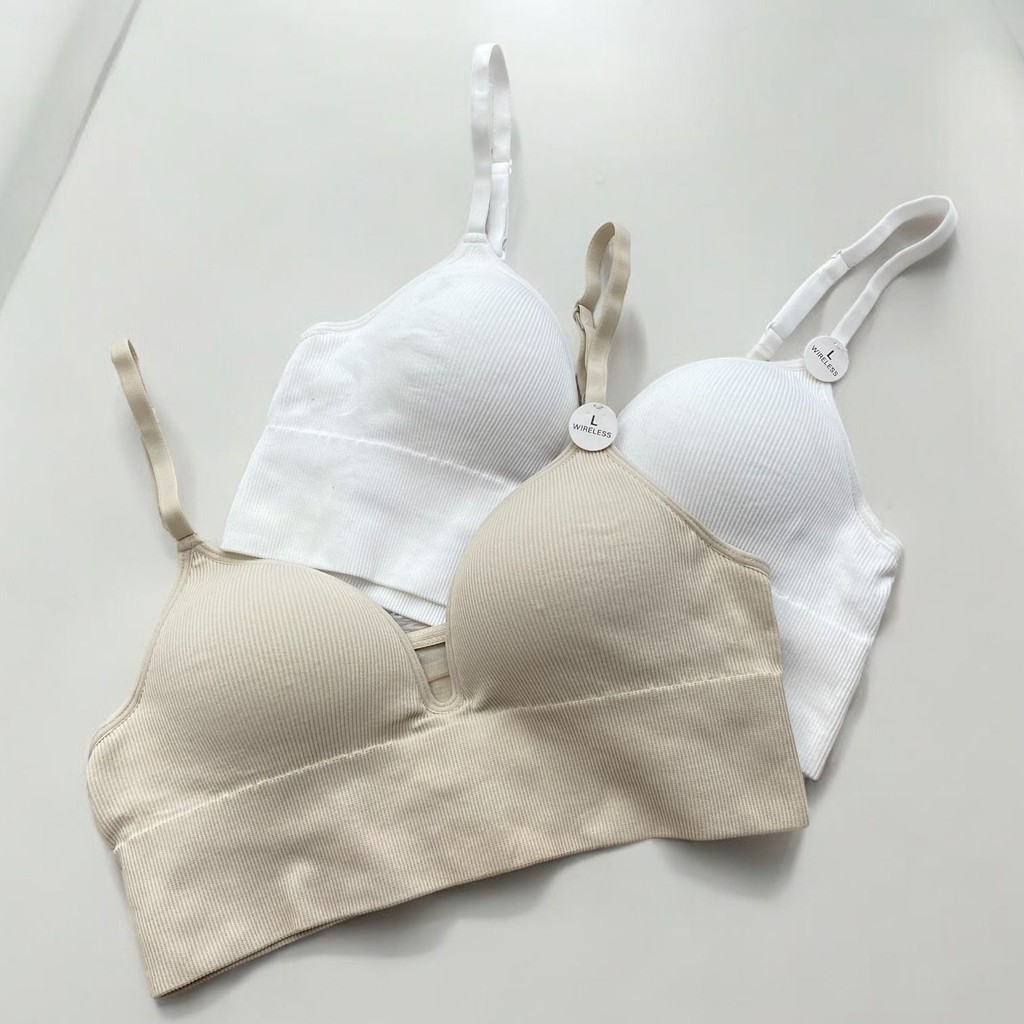Bra PIERRE CARDIN 3051 - Tanpa Kawat - Busa Sedang - Size L - BH Beha Pierre Cardin