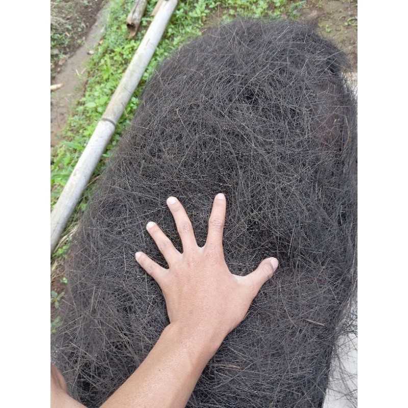 Ijuk aren resapan 1kg/ijuk aren filter air/ijuk aren bersih /media filter/ijuk alus/ijuk kakaban/iju