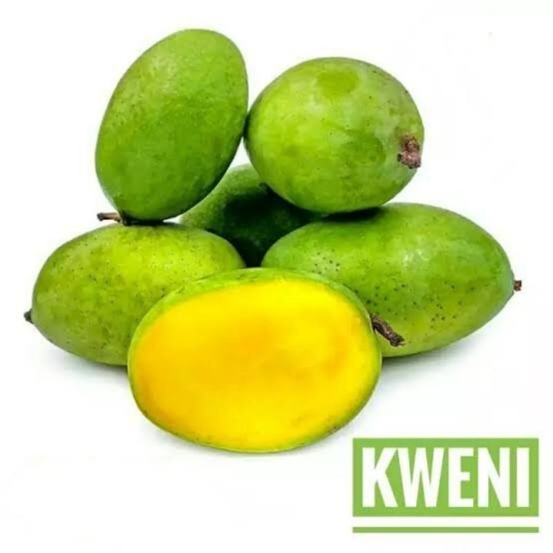 

Mangga Kweni / Mangga Rujak Aceh / Mangga Kwini