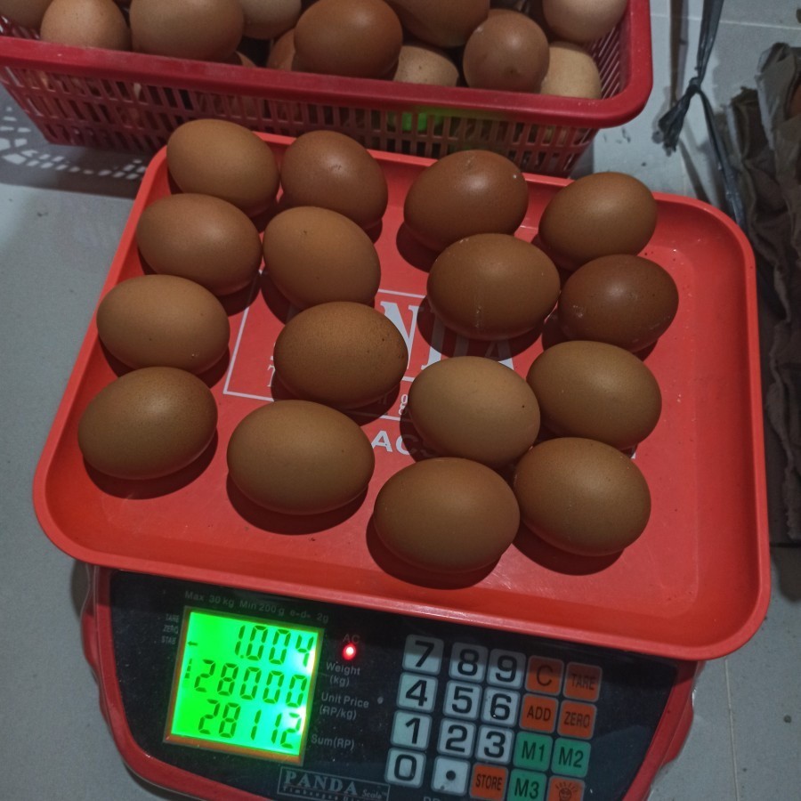 

TELUR AYAM NEGRI 1 KG ISI 16 BUTIR