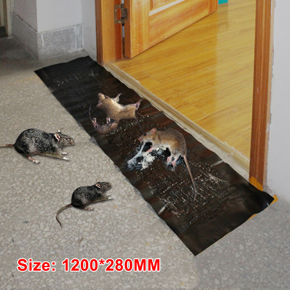 

Household Mousetrap Rat Poison Rat Glue Boards Mousetrap 1.2M Mousetrap Efficient Sticky Mouse Board Super Strong Big Rat Paste