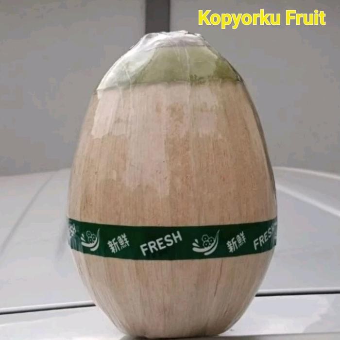 

buah kelapa kopyor butiran