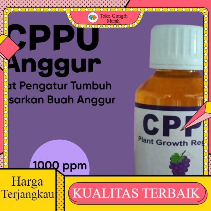 Hormon Tanaman CPPU ZPT Zat Pengatur Tumbuh Besarkan Buah Anggur