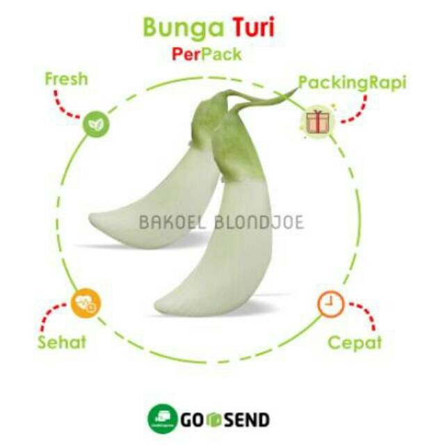 

BUNGA TURI PACK / TURI FLOWER / TOURI / FRESH VEGETABLES / VEGETABLE / SAYUR SAYURAN SEGAR MURAH