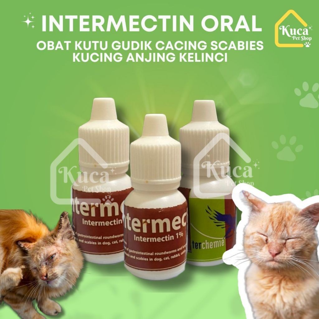 Intermectin Oral 10 Ml Obat Kutu Gatal Gudik Cacing Scabies Kucing Anjing Kelinci