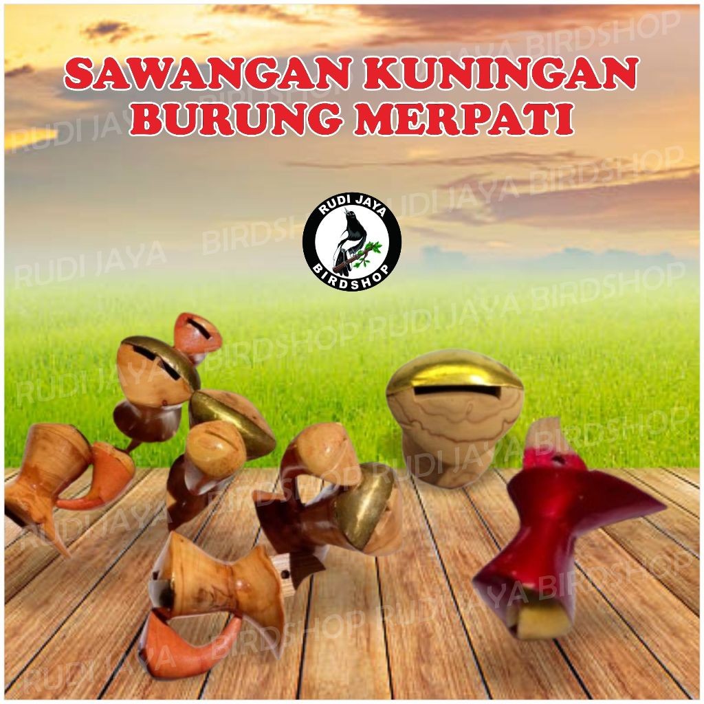 SEDIA SAWANGAN KUNINGAN BURUNG MERPATI HANTONG PELUIT SULINGAN BUNYI NYARING BISA HARIAN JUGA LOMBA