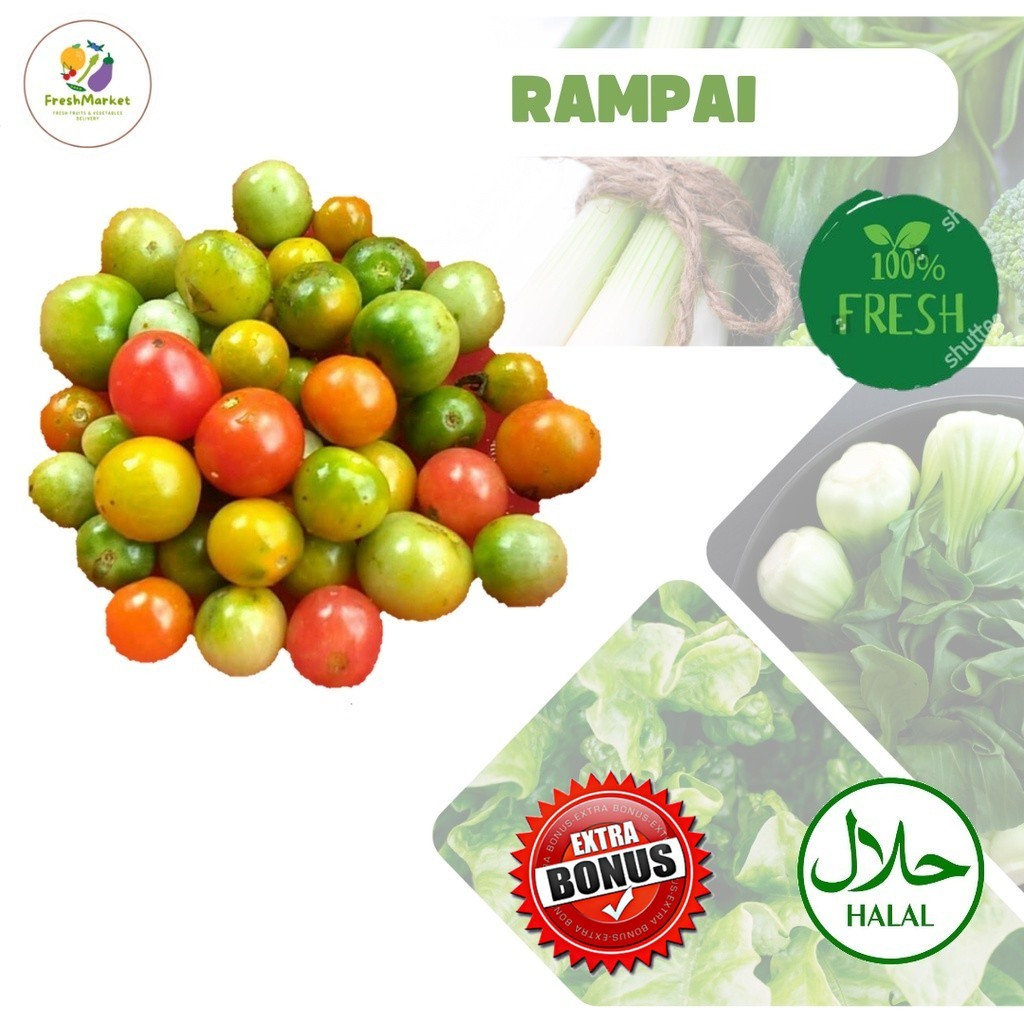 

Rampai Segar Sayur Sayuran 500 Gram Sayurinstant