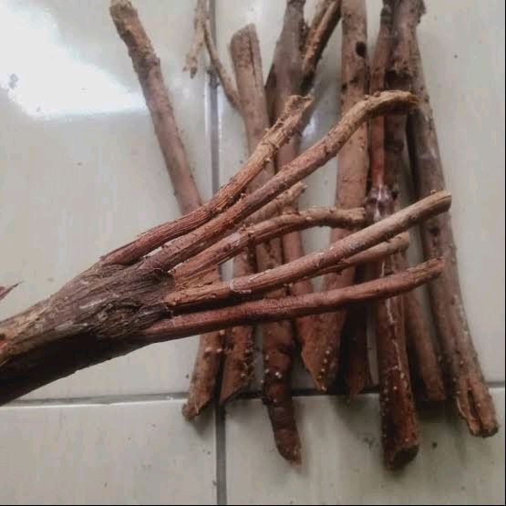 

Akar Pinang Jambe Kering Asli Herbal Alami 1 Kg