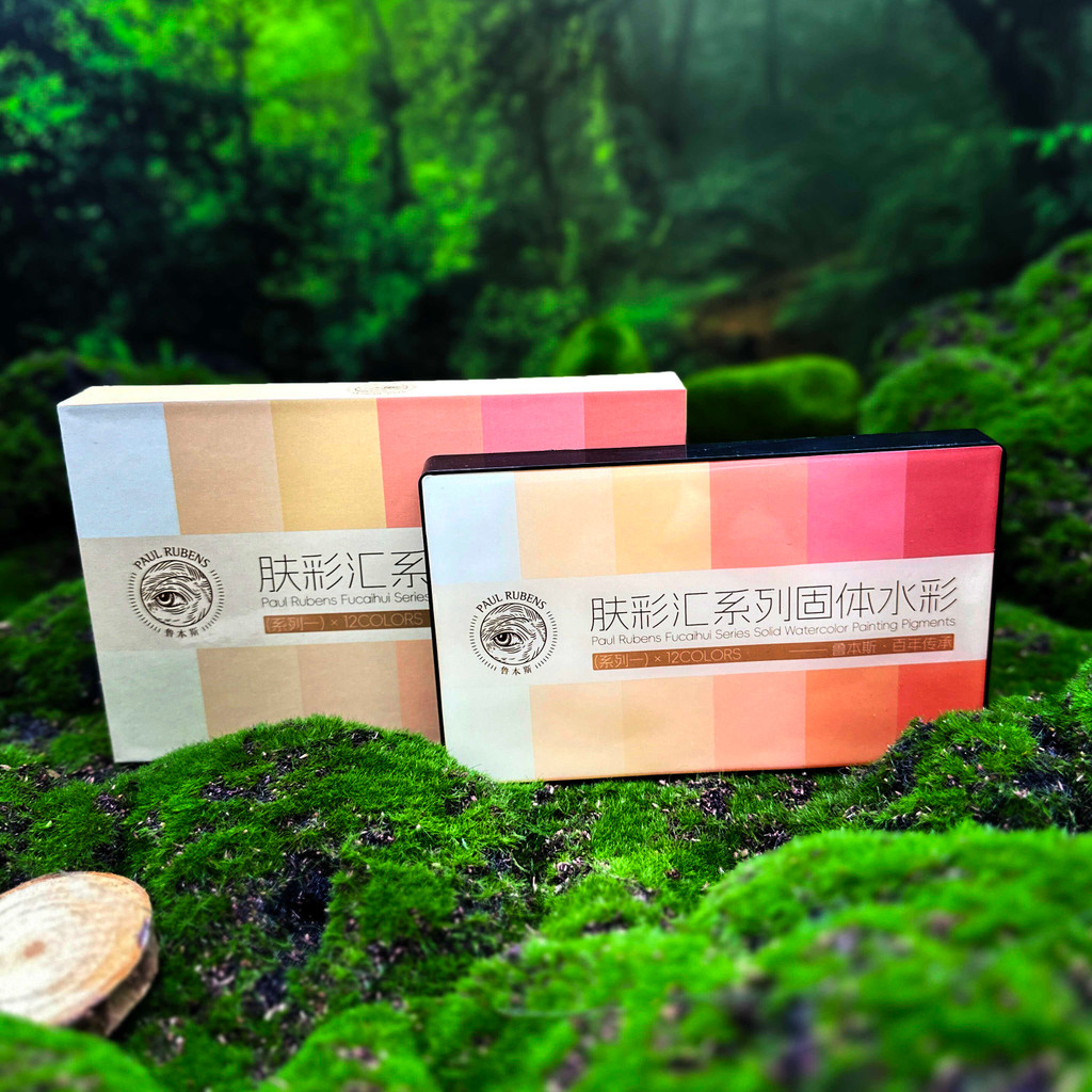 

PAUL RUBENS FUCAIHUI series solid watercolorpainting pigments 12 colors flesh color skin tone set for beginners art supplies