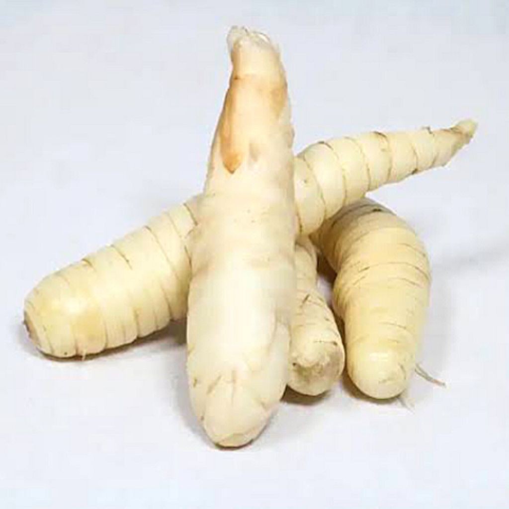 

Ubi Garut 1 KG | Cemilan Sehat & Berkhasiat