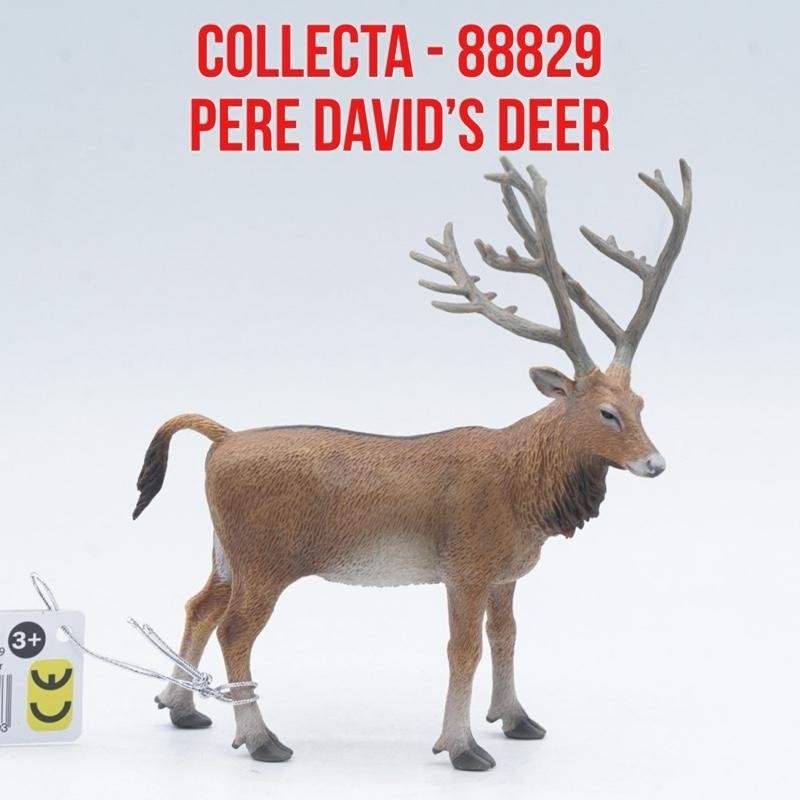 Collecta 88829 Pere David’s Deer Rusa Pere David  Elaphurus davidianus Binatang Figure Pajangan Main