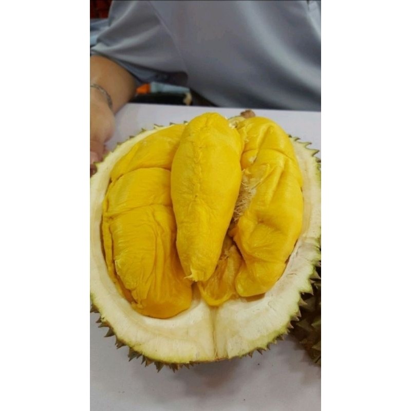 

PROMO!! Durian Musang king asli Malaysia ||Best Seller||