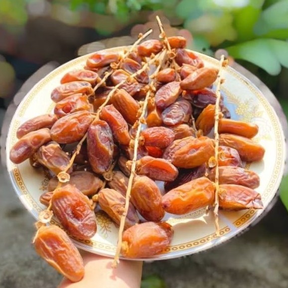 

GWP - Kurma Tunisia Tunis Tangkai Premium