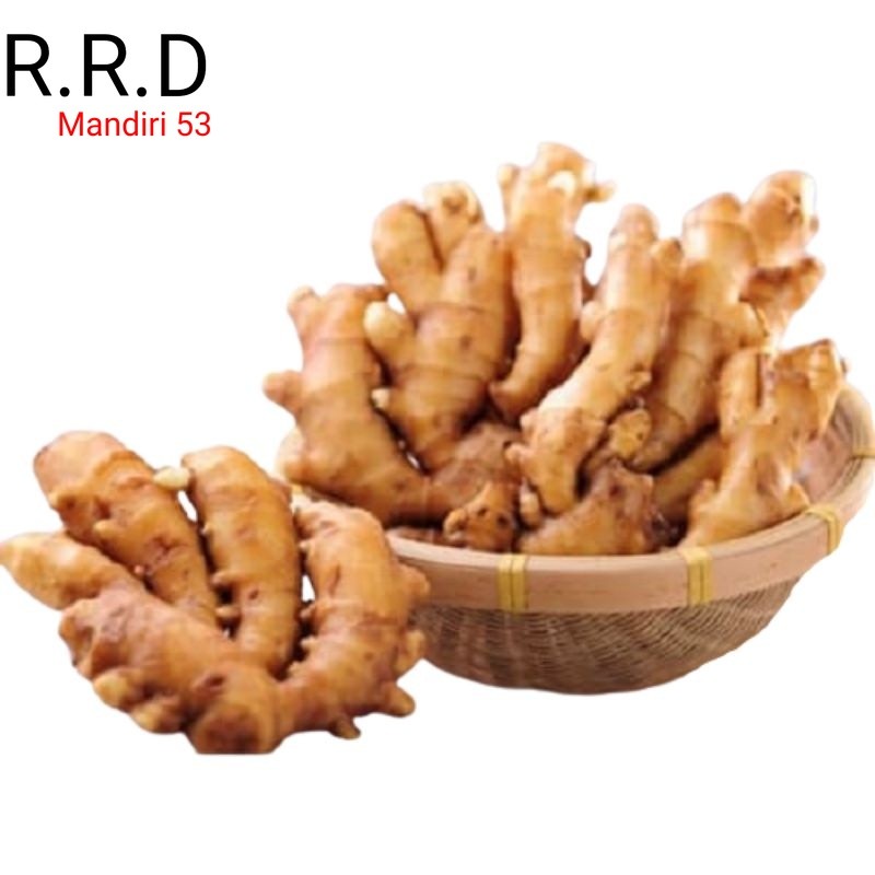 

Promo Jahe emprit basah segar organik 1kg siap ambil ke kebun