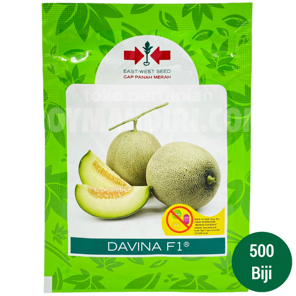 Benih Melon Davina F1 @500 biji