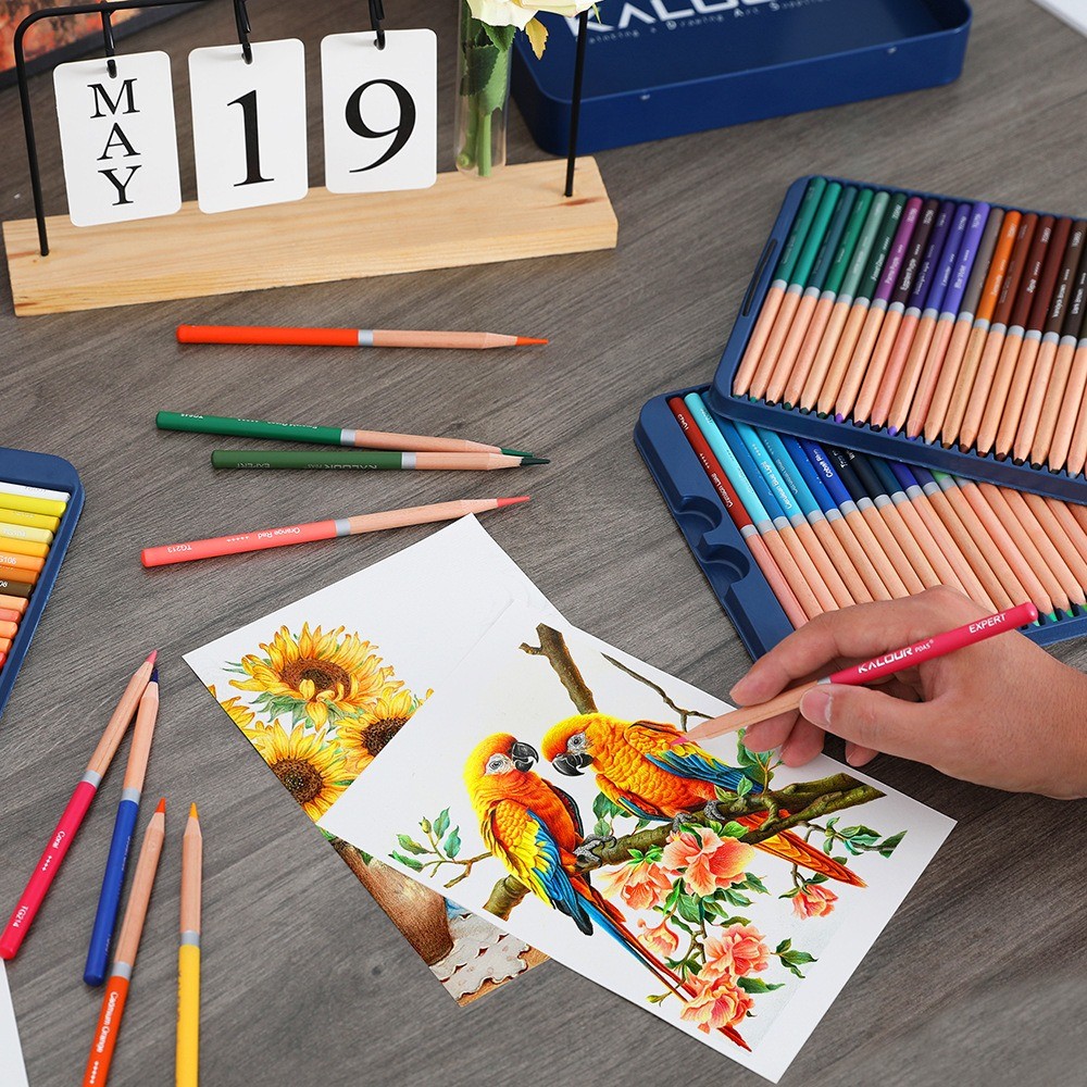 

KALOUR 72pcs/Set Colored Pencils Advanced Oil Art Drawing Pencil Rich Colors, Mixable for Beginners, Artists Coloring Stationery