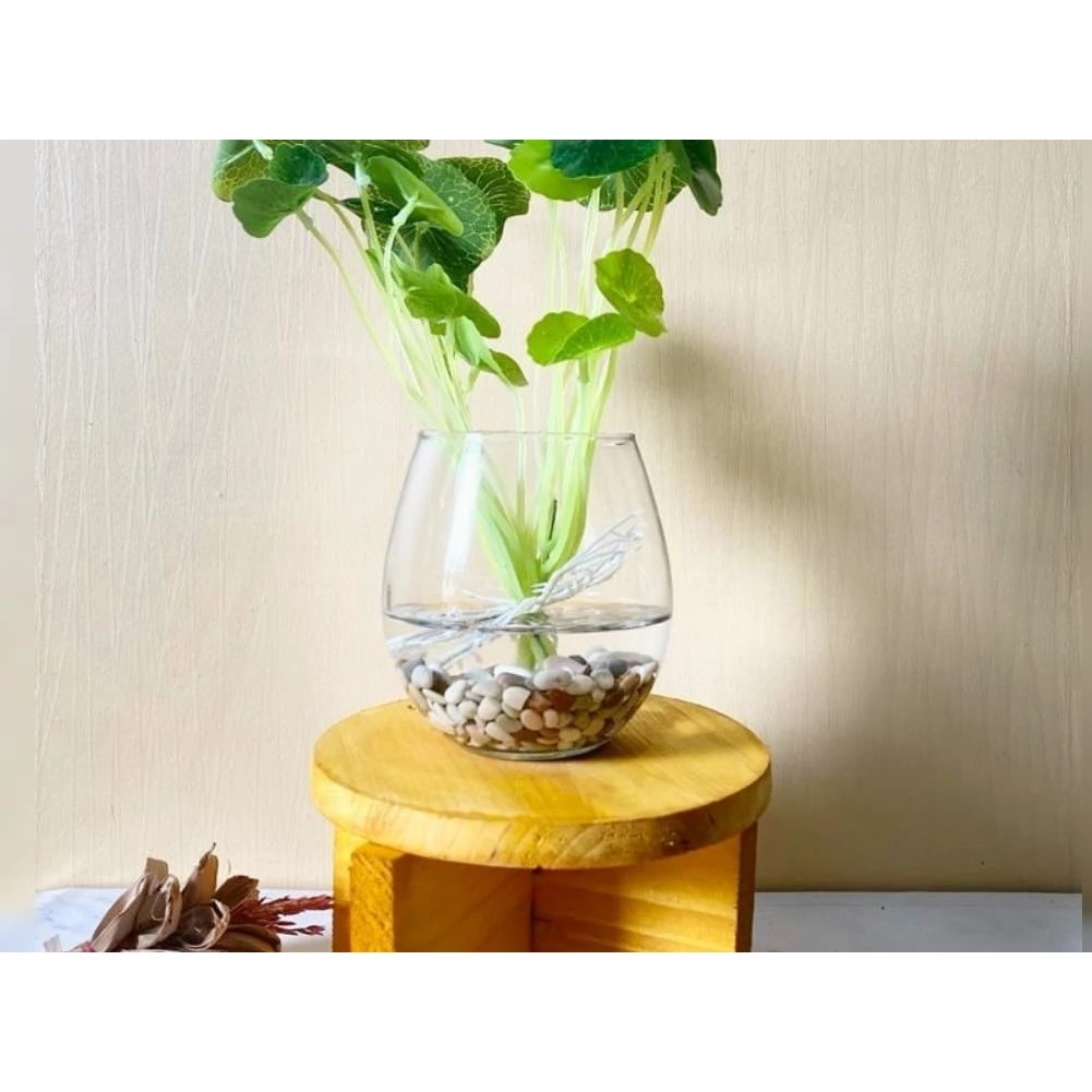 

Vas Mini Kaca Estetik untuk Dekorasi Rumah Minimalis Plus Tatakan