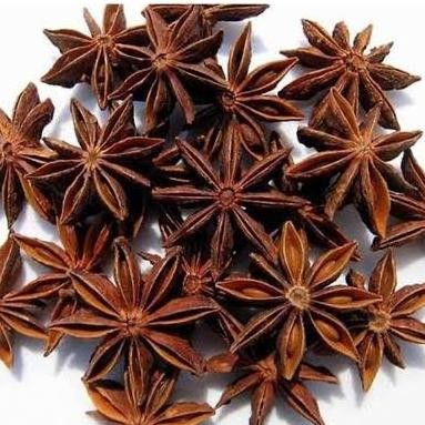 

PROMO! Bunga Pekak Bunga Lawang Star Aniseeds Star Anis - 20gr