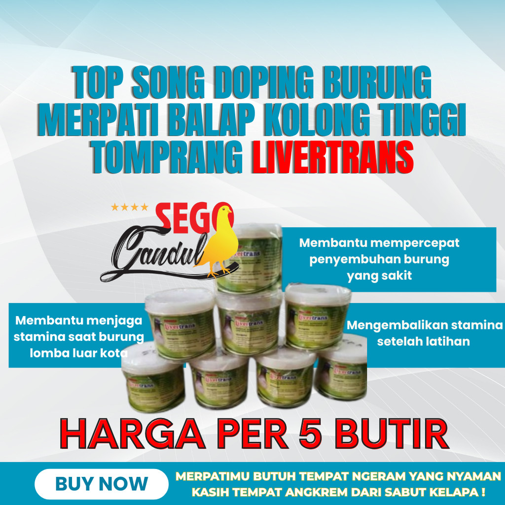 Vitamin burung merpati balap kolong tinggi tomprang livertrans top song per 5 butir