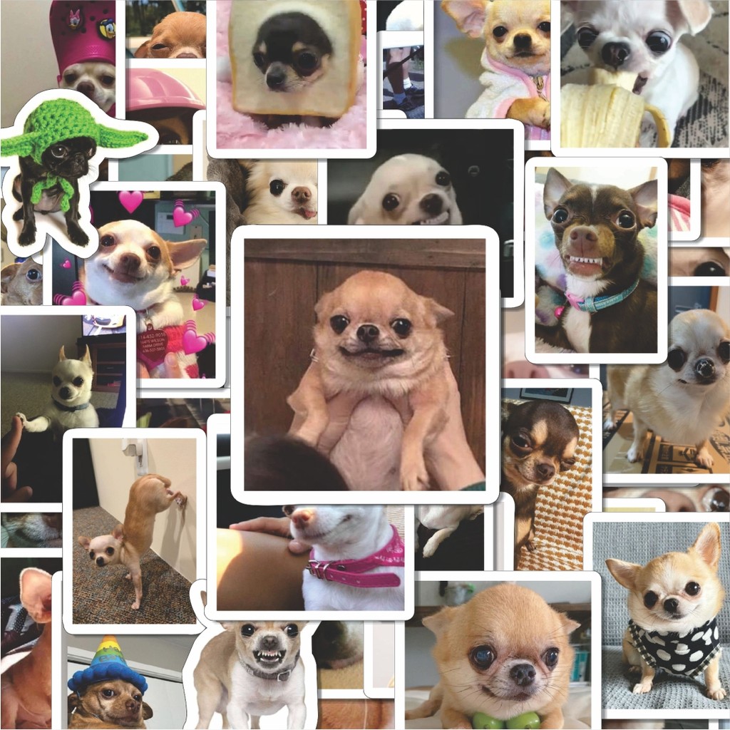 

100PCS Lucu Stiker Cihuahua Stiker Aesthetic Stiker Anti Air Stikers Berperekat Waterproof sticker decal buat Motor Helm Buku Journal Koper Casing HP Laptop Botol Minum Hadiah anak