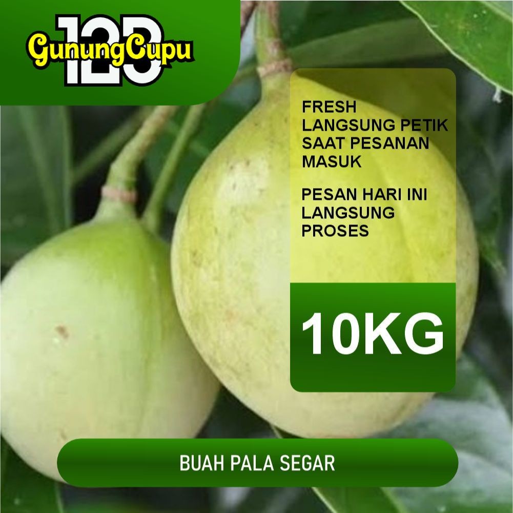 

BUAH PALA MUDA SEGAR PAKET CARGO 10KG REMPAH SEGAR