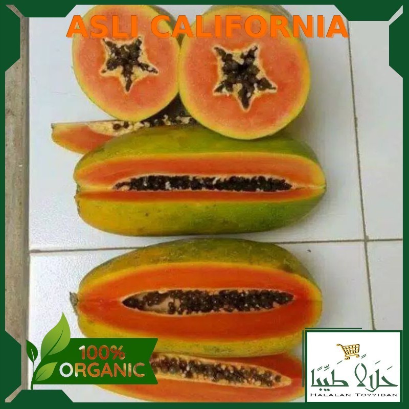 

buah pepaya segar Per 1 Buah