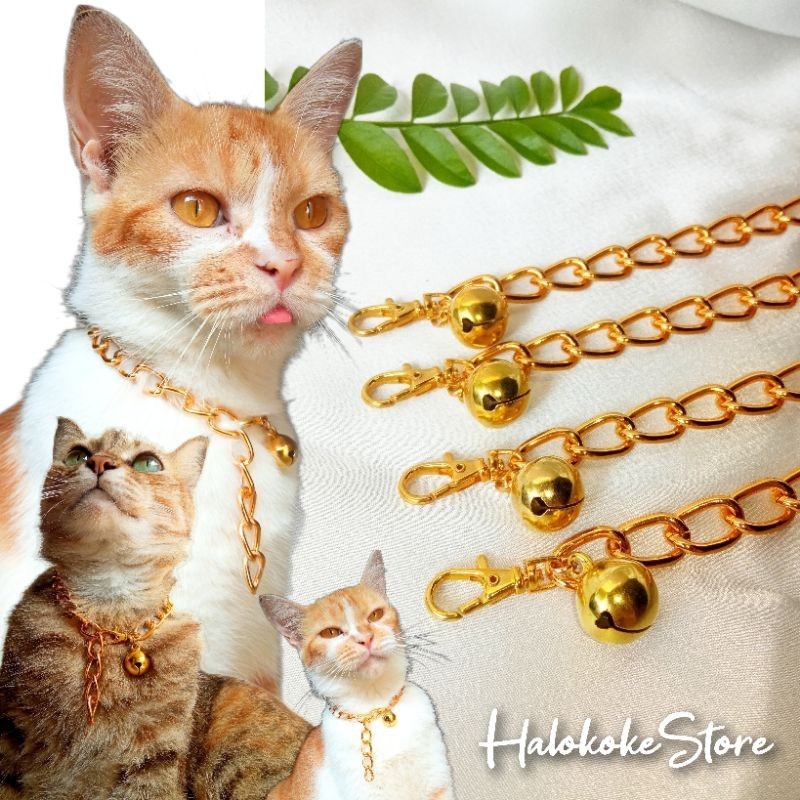 Kalung Kucing Rantai Besar | Kalung Anjing | Kalung Kucing Kekinian