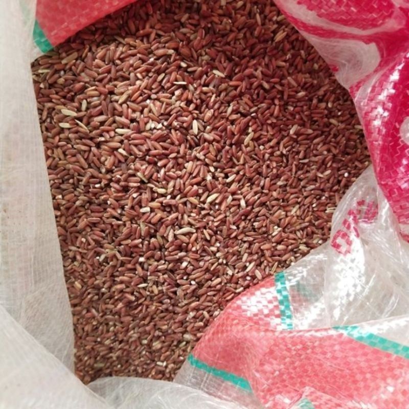 

1 KG Beras Merah SANG PERINTIS 22
