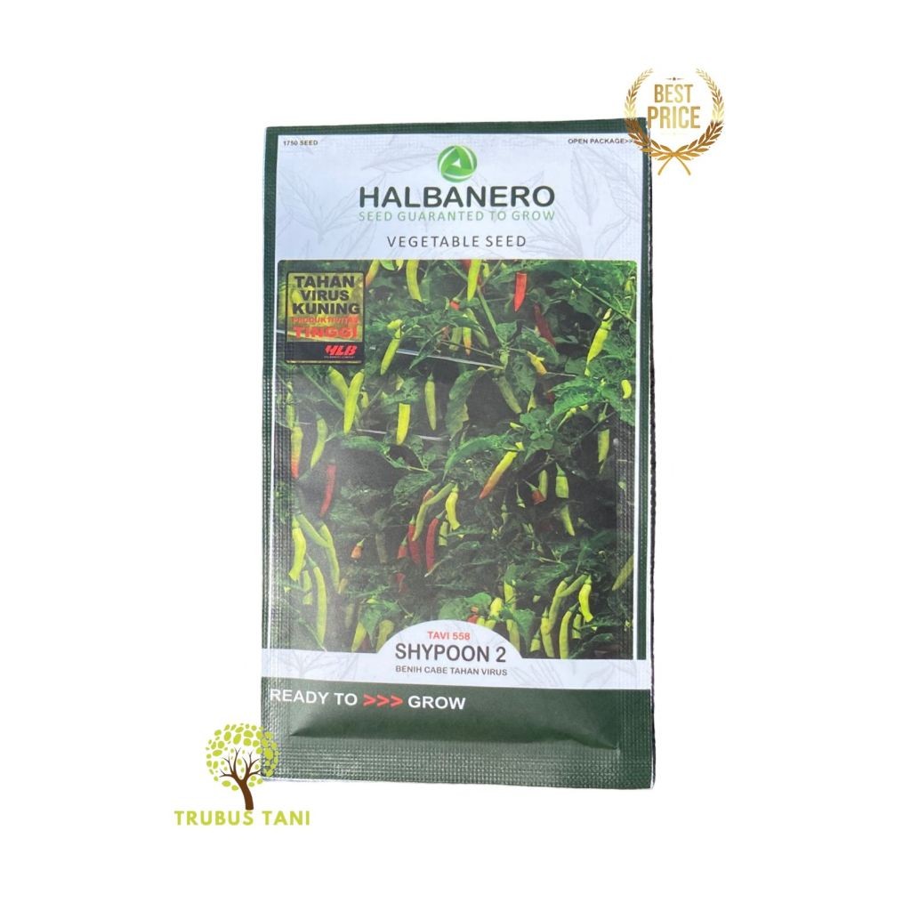 CABAI RAWIT NEW SHYPOON 2 TAVI 558 - HALBANERO