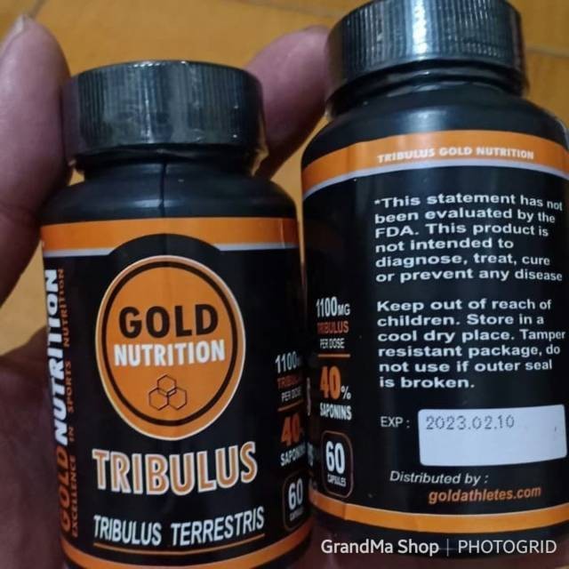 Tribulus Gold Nutrition Suplemen Hormon Testosteron Pria Herbal