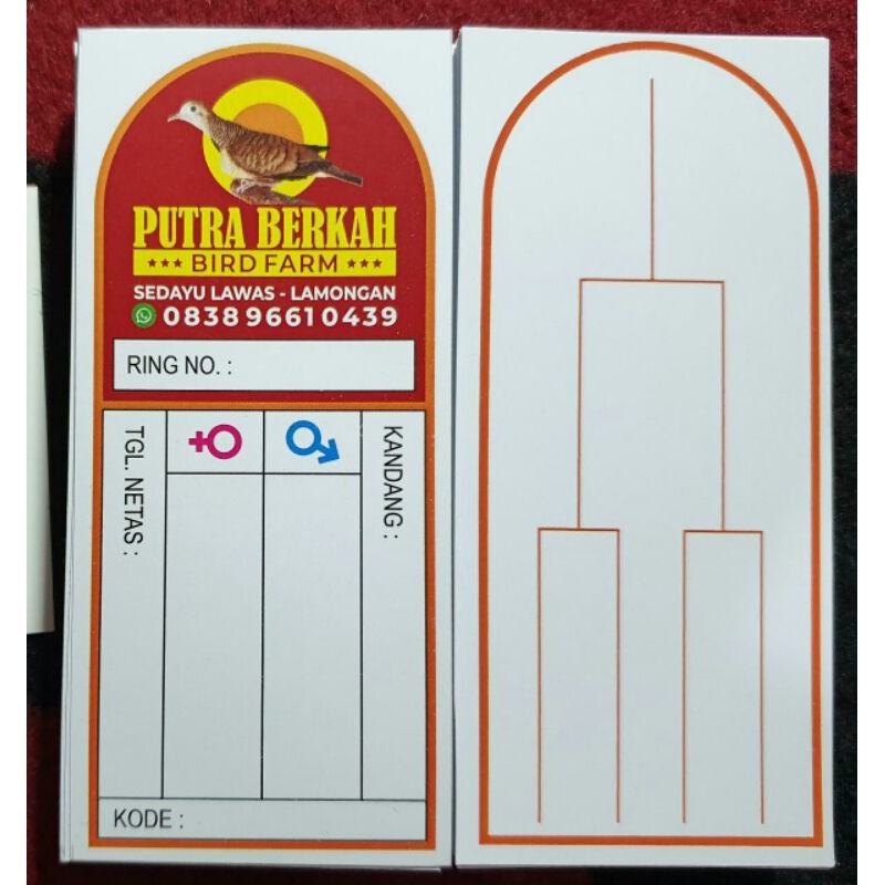 100 LEMBAR KITIR BURUNG PERKUTUT GRATIS DESAIN SESUAI PESANAN