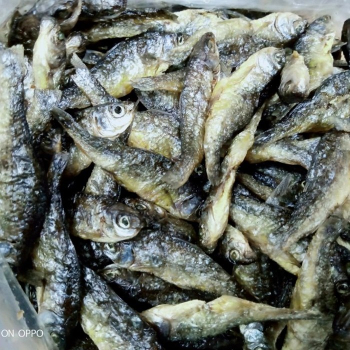 

IKAN BILIH PADANG / BILIS SINGKARAK 250 GRAM - 100 Gram