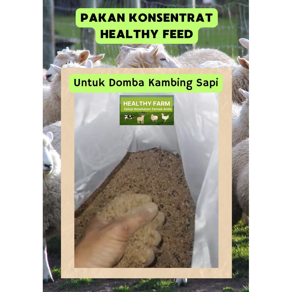 Pakan, konsentrat, domba, kambing, sapi