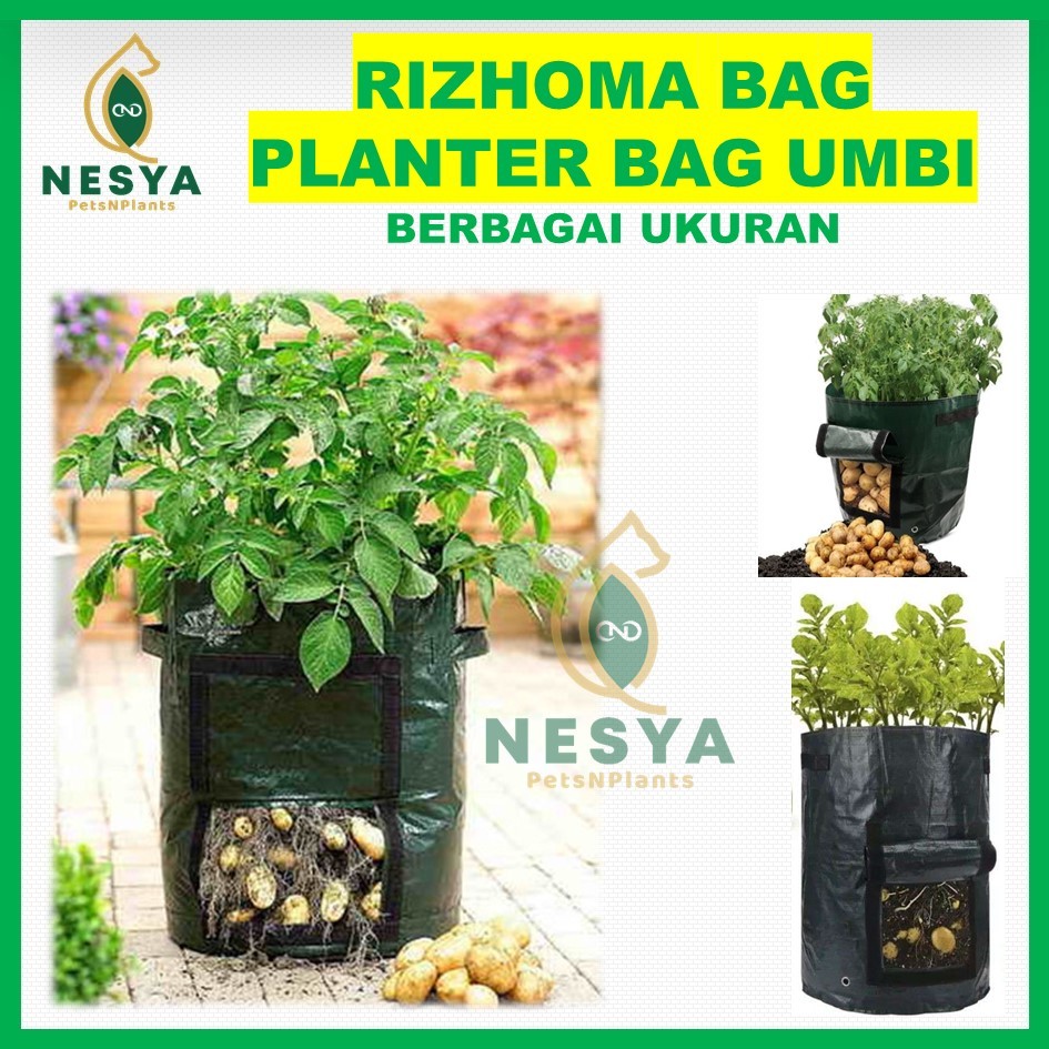Rizhoma Bag Pot Untuk Tanaman Umbi Rizhoma Planter